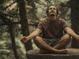 Insight Meditation