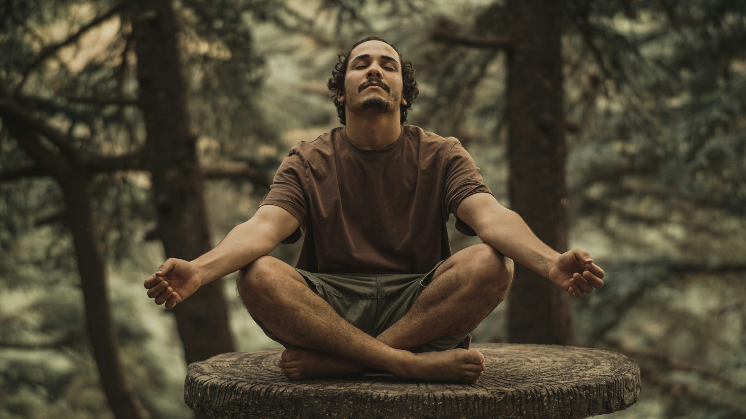 Insight Meditation