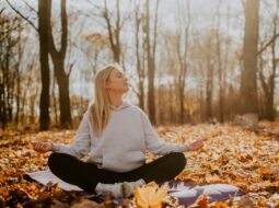Insight Meditation