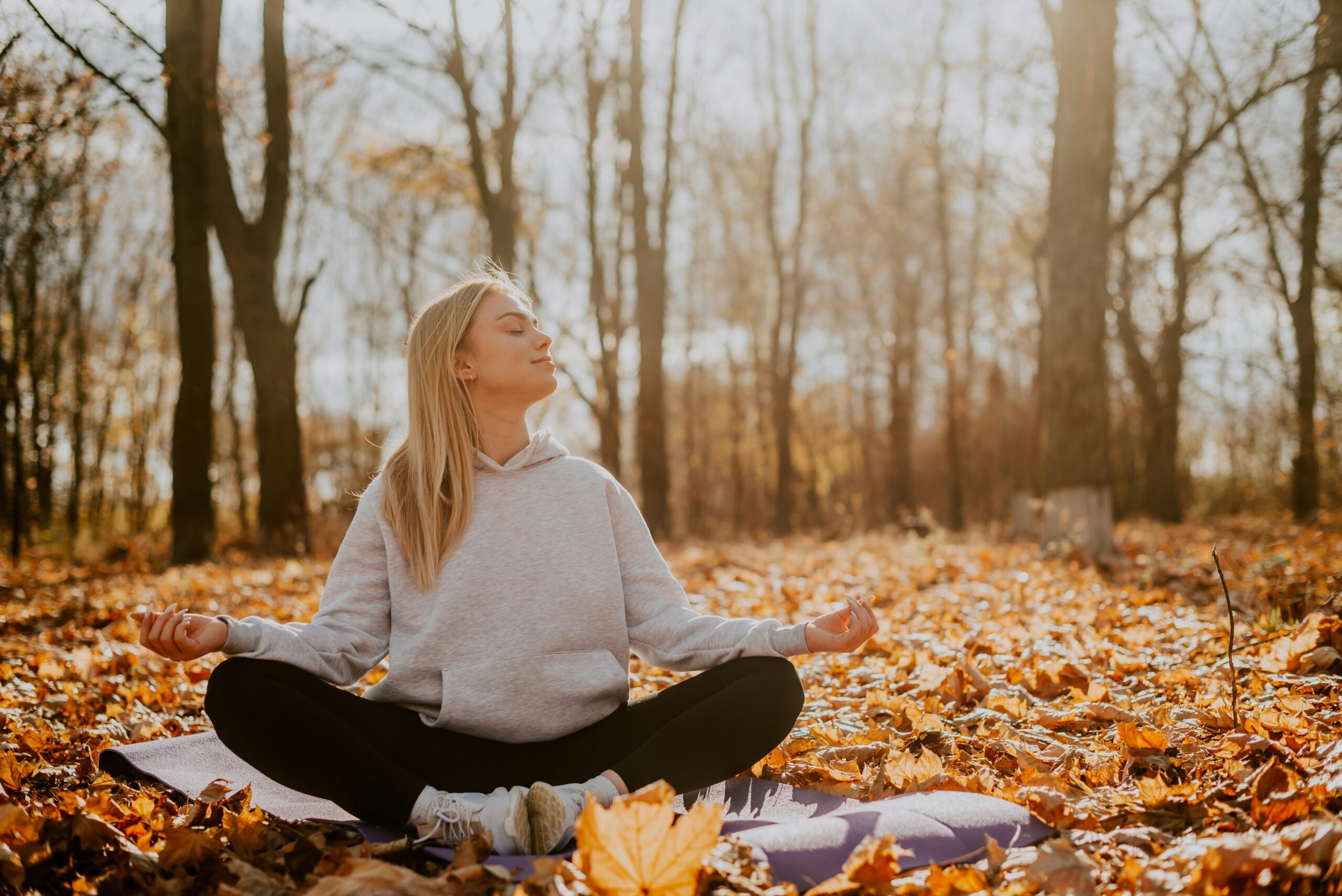 Insight Meditation