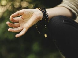 Non-Dual Teachings and the Insight Meditation Journey Deepening Awareness Through Direct Experience
